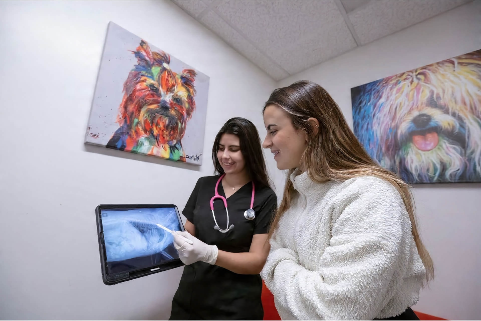 A veterinarian discussing an X-ray with a pet owner at Spectrum Pet Hospital