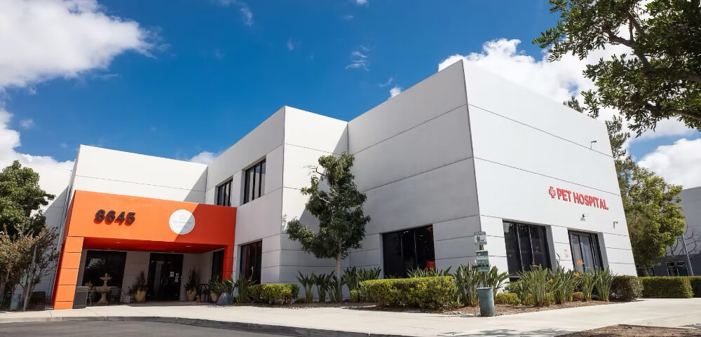 Full service animal hospital in Irvine, CA