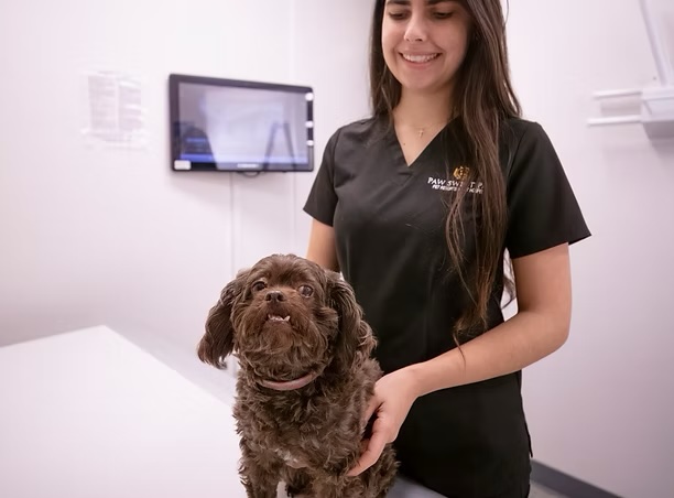 Smiling vet tech standing beside a chocolate cockapoo on an exam table during an imaging diagnostic visit in Irvine