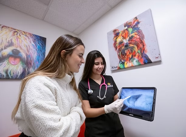 Veterinarian showing a pet X-ray on a tablet to a smiling pet owner during an imaging diagnostics consultation in Irvine
