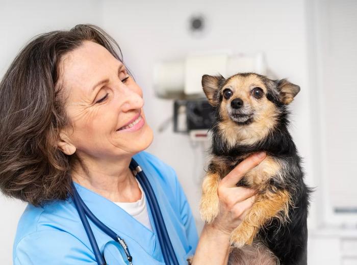 The Importance of Regular Visits to Your Vet: Keeping Your Pet Happy and Healthy