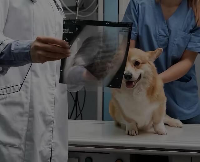 Imaging Diagnostics